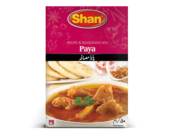 Shan Paya