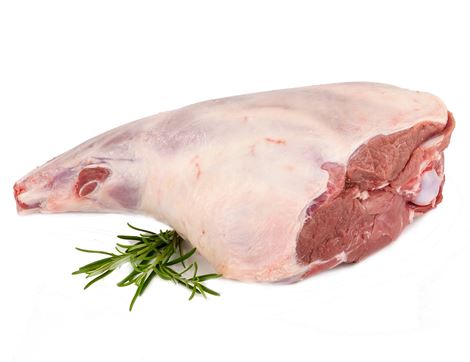 Lamb